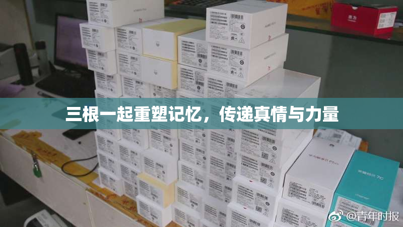 三根一起重塑记忆，传递真情与力量