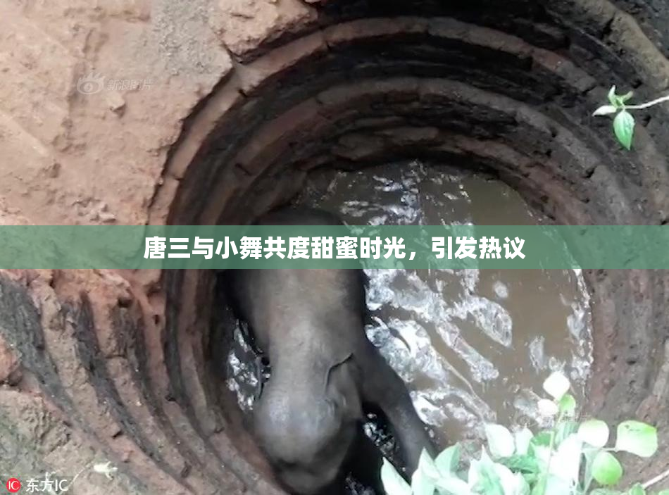 唐三与小舞共度甜蜜时光，引发热议