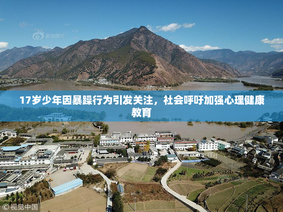 17岁少年因暴躁行为引发关注，社会呼吁加强心理健康教育