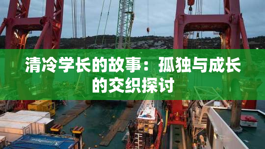 清冷学长的故事：孤独与成长的交织探讨