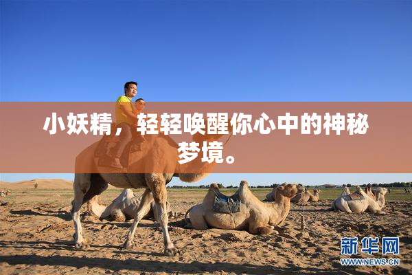 小妖精，轻轻唤醒你心中的神秘梦境。