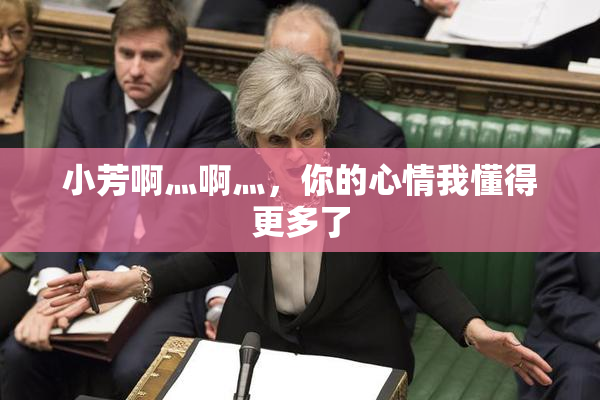 小芳啊灬啊灬，你的心情我懂得更多了