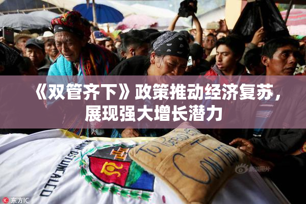 《双管齐下》政策推动经济复苏，展现强大增长潜力