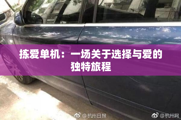 拣爱单机：一场关于选择与爱的独特旅程