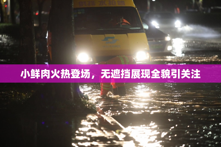 小鲜肉火热登场，无遮挡展现全貌引关注
