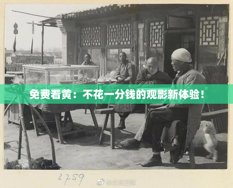 免费看黄：不花一分钱的观影新体验！