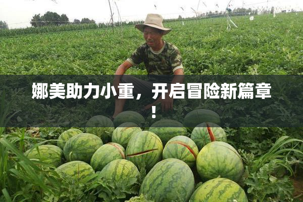 娜美助力小重，开启冒险新篇章！