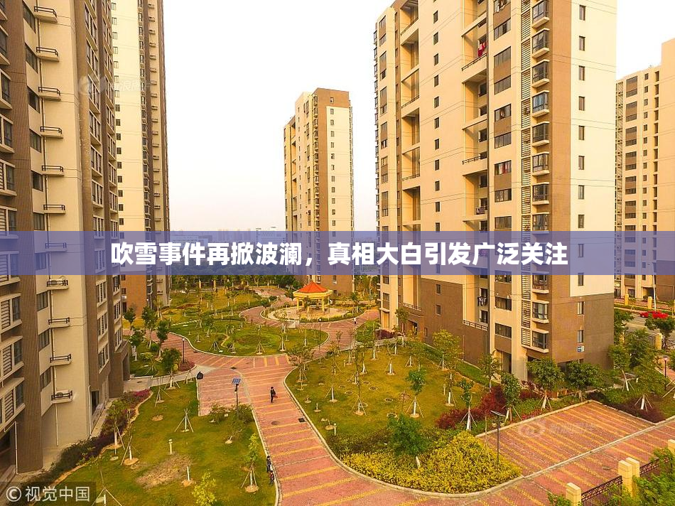 吹雪事件再掀波澜，真相大白引发广泛关注