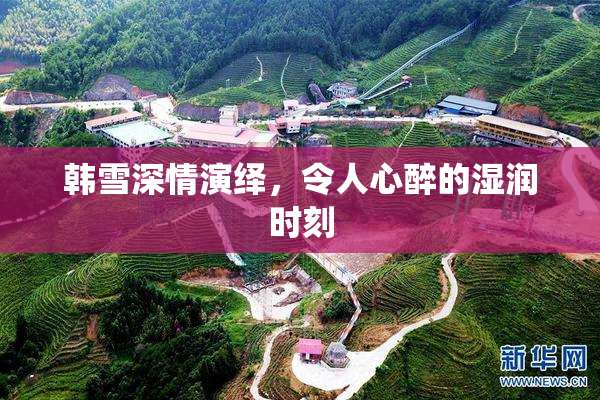 韩雪深情演绎，令人心醉的湿润时刻