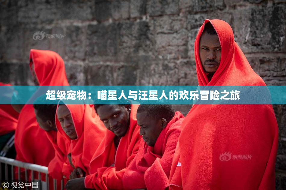 超级宠物：喵星人与汪星人的欢乐冒险之旅
