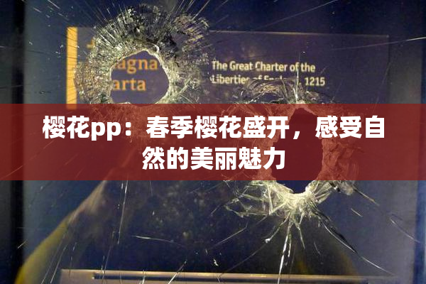 樱花pp：春季樱花盛开，感受自然的美丽魅力