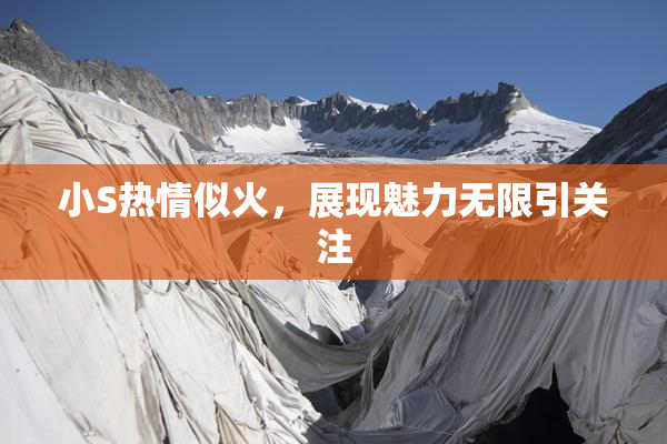 小S热情似火，展现魅力无限引关注
