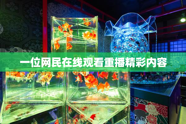 一位网民在线观看重播精彩内容