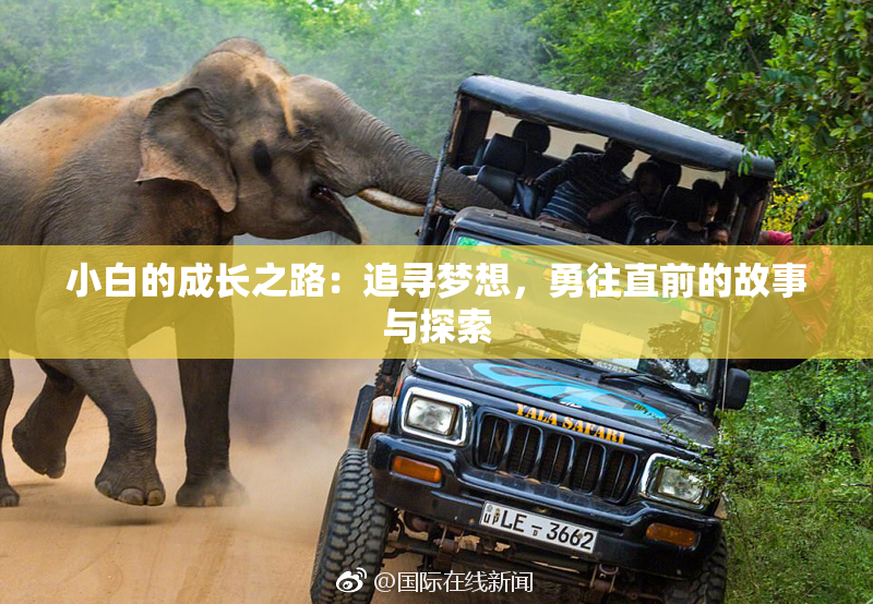 小白的成长之路：追寻梦想，勇往直前的故事与探索