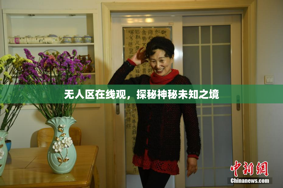 无人区在线观，探秘神秘未知之境