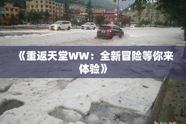 《重返天堂WW：全新冒险等你来体验》