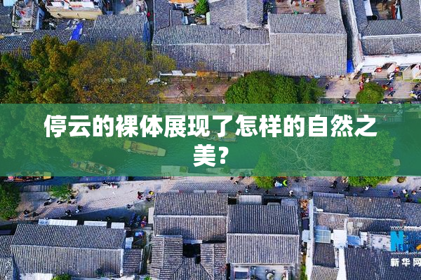停云的裸体展现了怎样的自然之美？