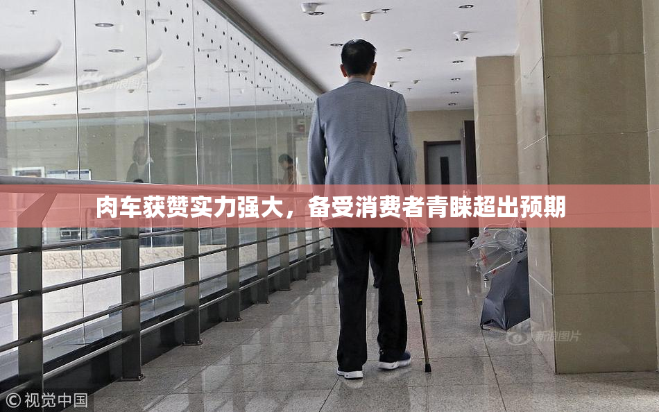 肉车获赞实力强大，备受消费者青睐超出预期