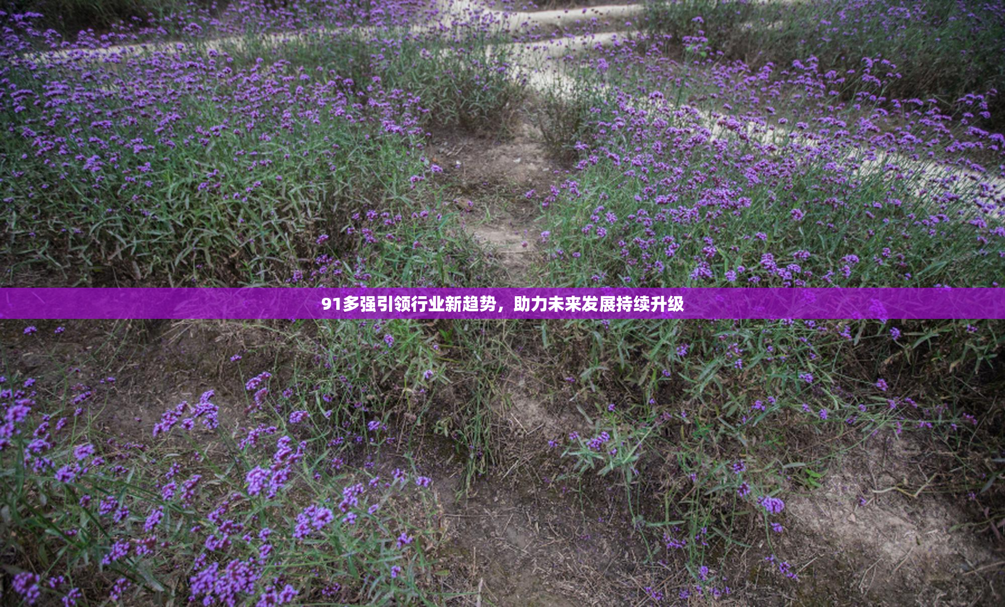 91多强引领行业新趋势，助力未来发展持续升级