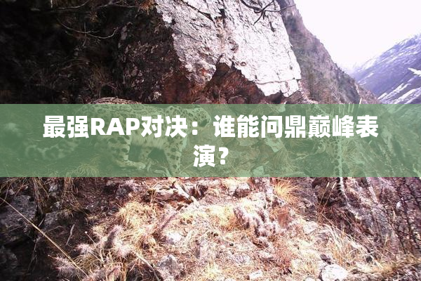 最强RAP对决：谁能问鼎巅峰表演？