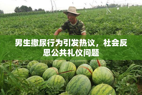 男生撒尿行为引发热议，社会反思公共礼仪问题