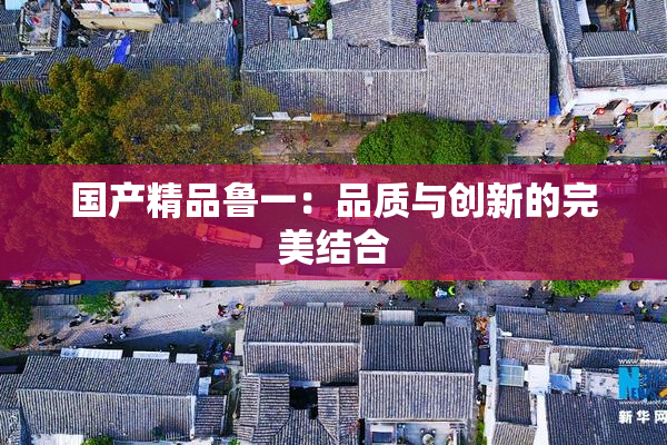 国产精品鲁一：品质与创新的完美结合