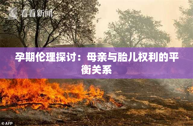 孕期伦理探讨：母亲与胎儿权利的平衡关系