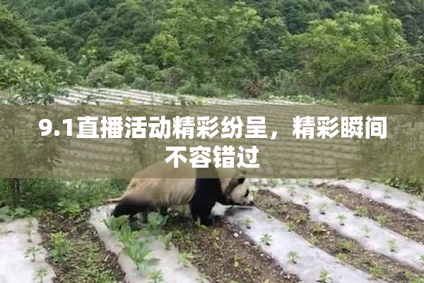 9.1直播活动精彩纷呈，精彩瞬间不容错过