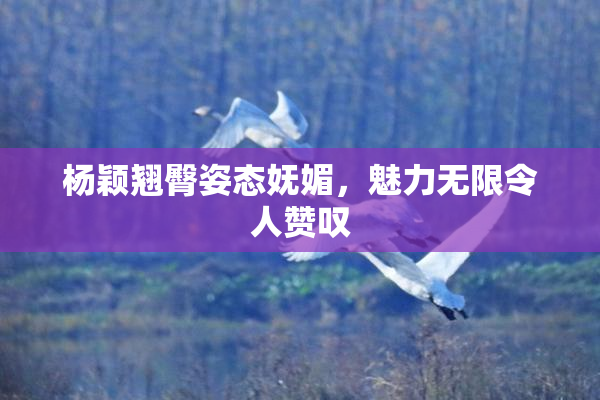杨颖翘臀姿态妩媚，魅力无限令人赞叹