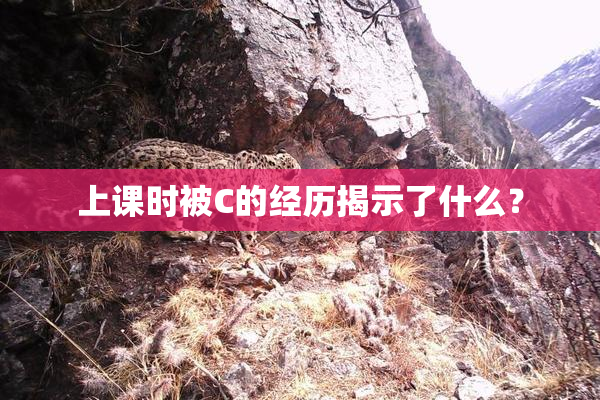 上课时被C的经历揭示了什么？