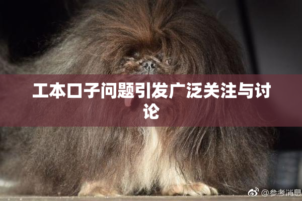 工本口子问题引发广泛关注与讨论