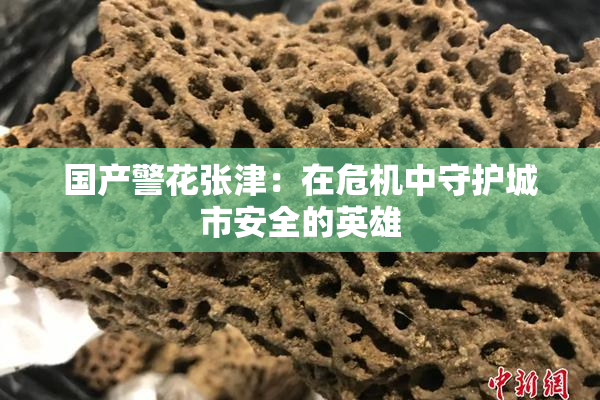 国产警花张津：在危机中守护城市安全的英雄