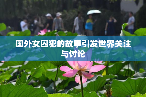 国外女囚犯的故事引发世界关注与讨论