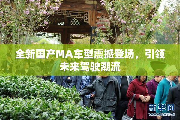 全新国产MA车型震撼登场，引领未来驾驶潮流