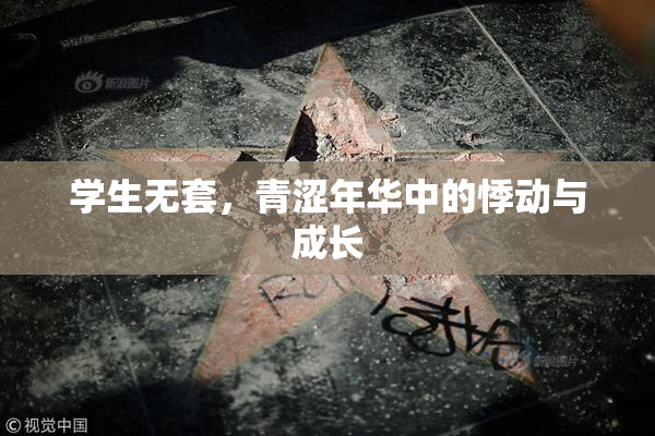 学生无套，青涩年华中的悸动与成长