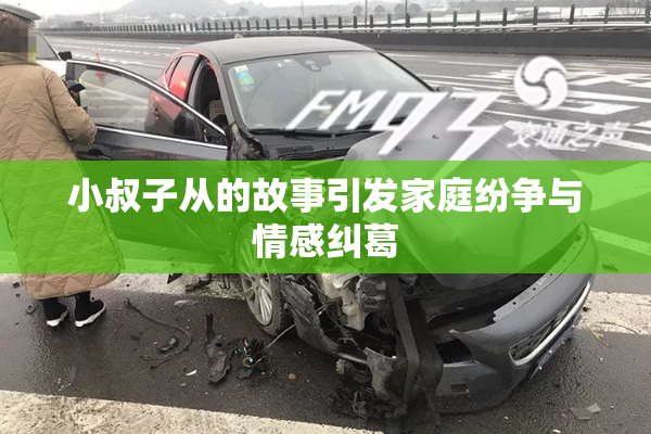小叔子从的故事引发家庭纷争与情感纠葛