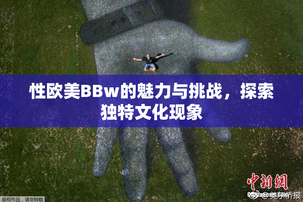 性欧美BBw的魅力与挑战，探索独特文化现象