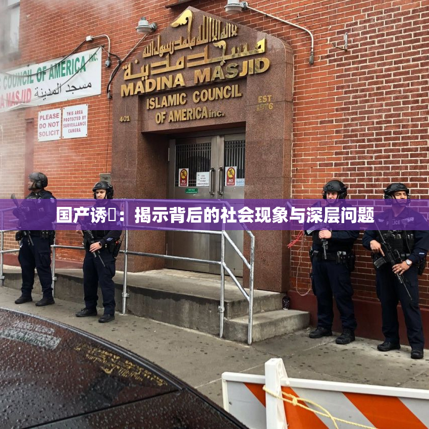 国产诱奷：揭示背后的社会现象与深层问题