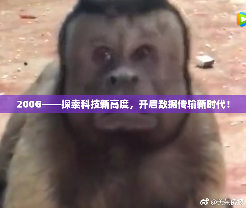 200G——探索科技新高度，开启数据传输新时代！