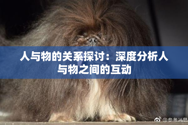 人与物的关系探讨：深度分析人与物之间的互动