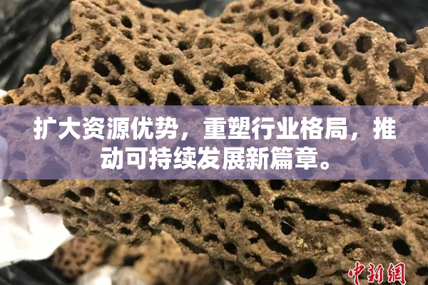 扩大资源优势，重塑行业格局，推动可持续发展新篇章。