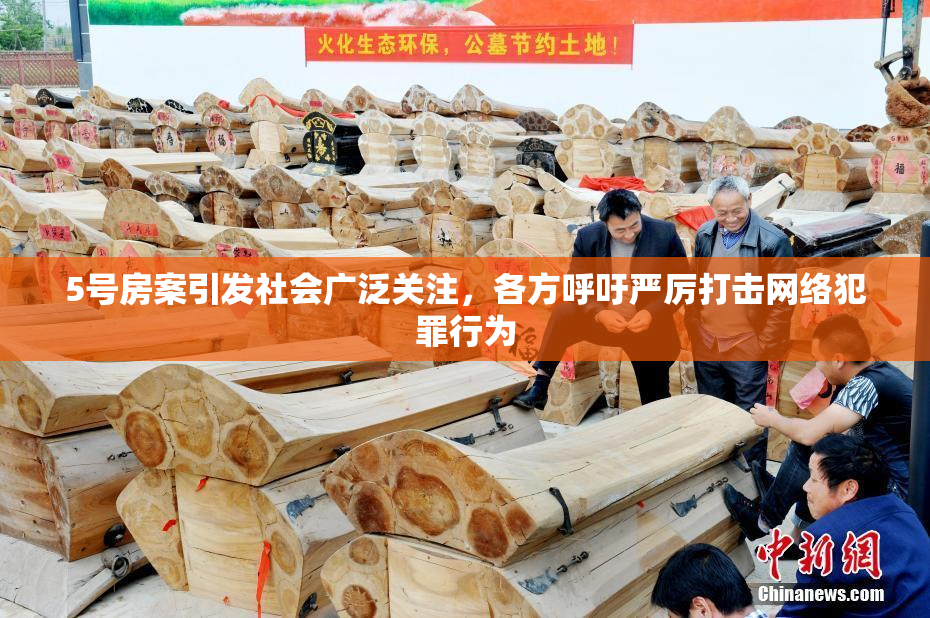 5号房案引发社会广泛关注，各方呼吁严厉打击网络犯罪行为