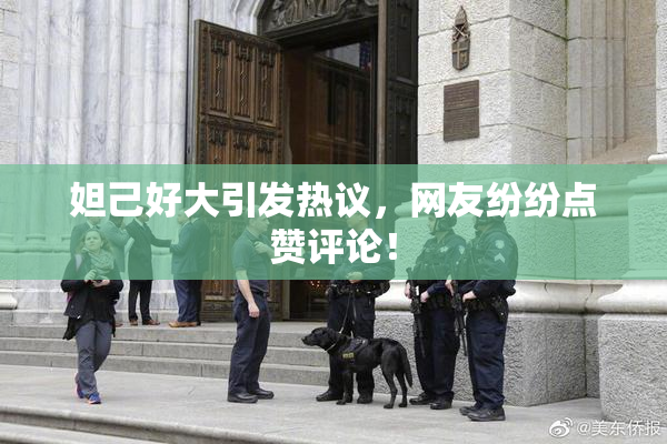 妲己好大引发热议，网友纷纷点赞评论！