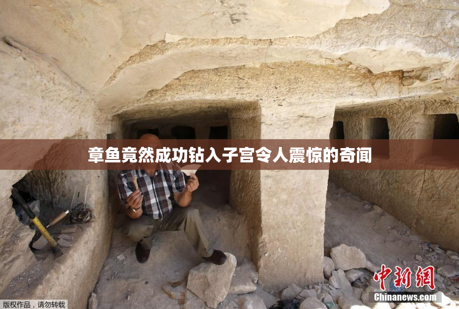 章鱼竟然成功钻入子宫令人震惊的奇闻