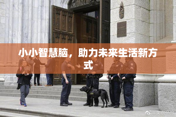 小小智慧脑，助力未来生活新方式
