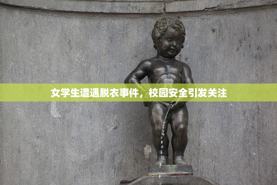 女学生遭遇脱衣事件，校园安全引发关注
