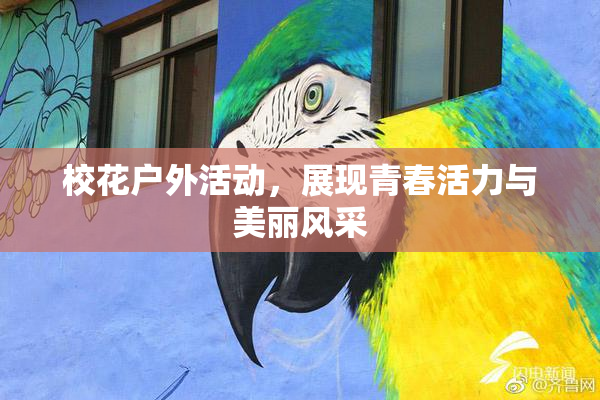 校花户外活动，展现青春活力与美丽风采