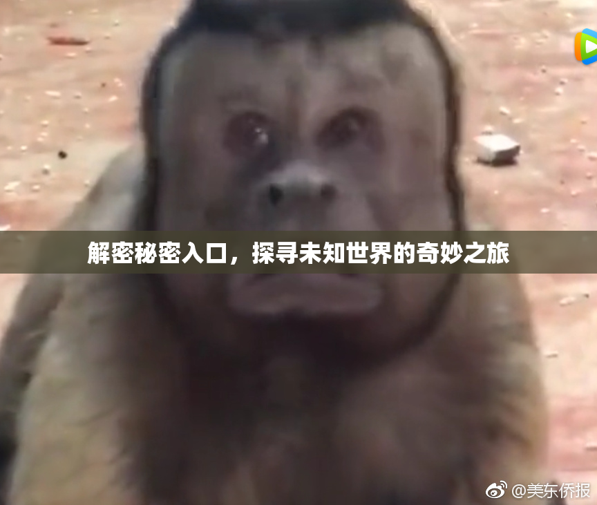 解密秘密入口，探寻未知世界的奇妙之旅