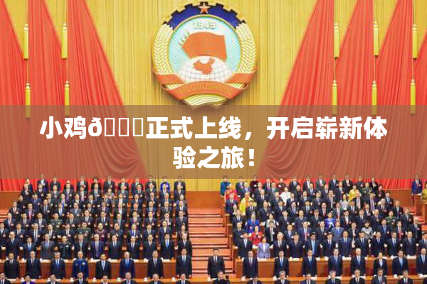 小鸡🐔正式上线，开启崭新体验之旅！