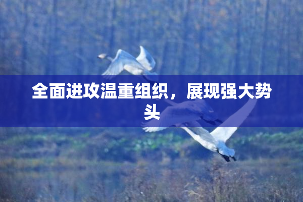 全面进攻温重组织，展现强大势头